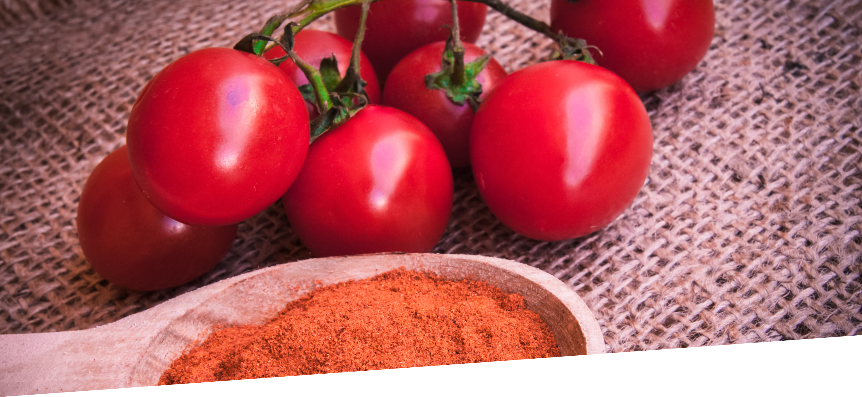 Sayaji Spray Drying - Tomato Powder Manufacturer and Supplier in Ahmedabad, India