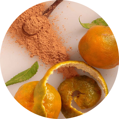 Top Orange Fruits Powder Manufacturer & Supplier in Ahmedabad, India