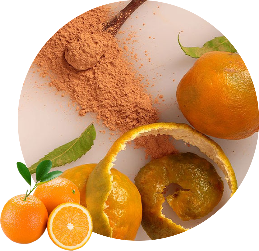 Orange Powder Manufacturer & Supplier | Sayaji Spray Drying Ahmedabad