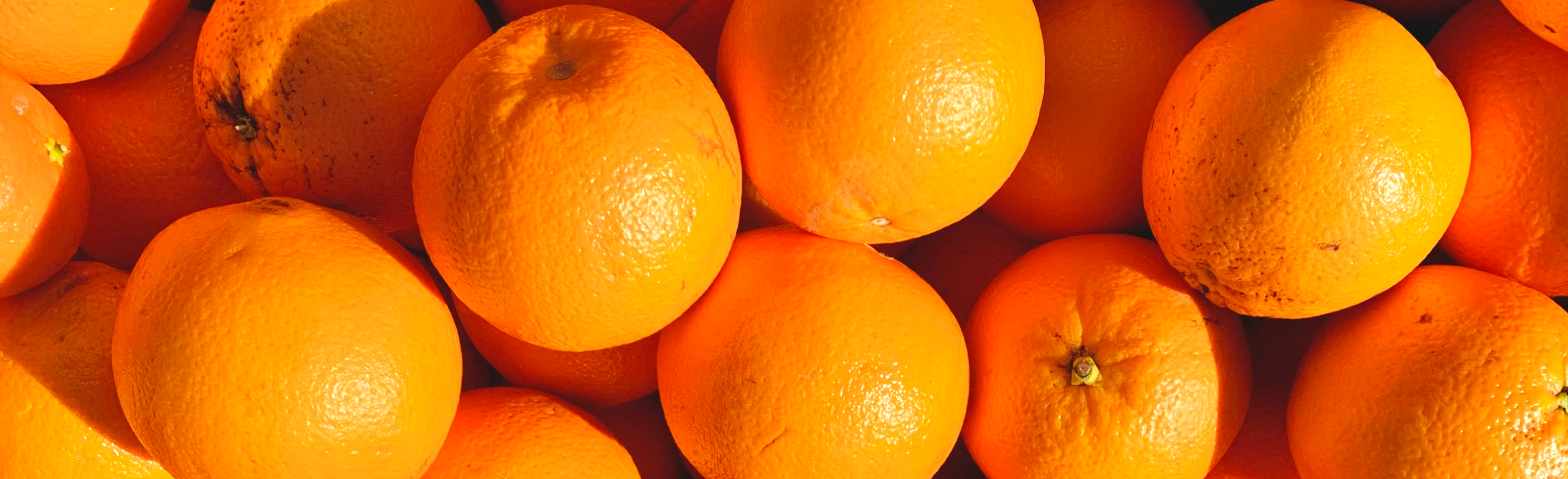 Best Orange Powder Manufacturer & Supplier in Ahmedabad