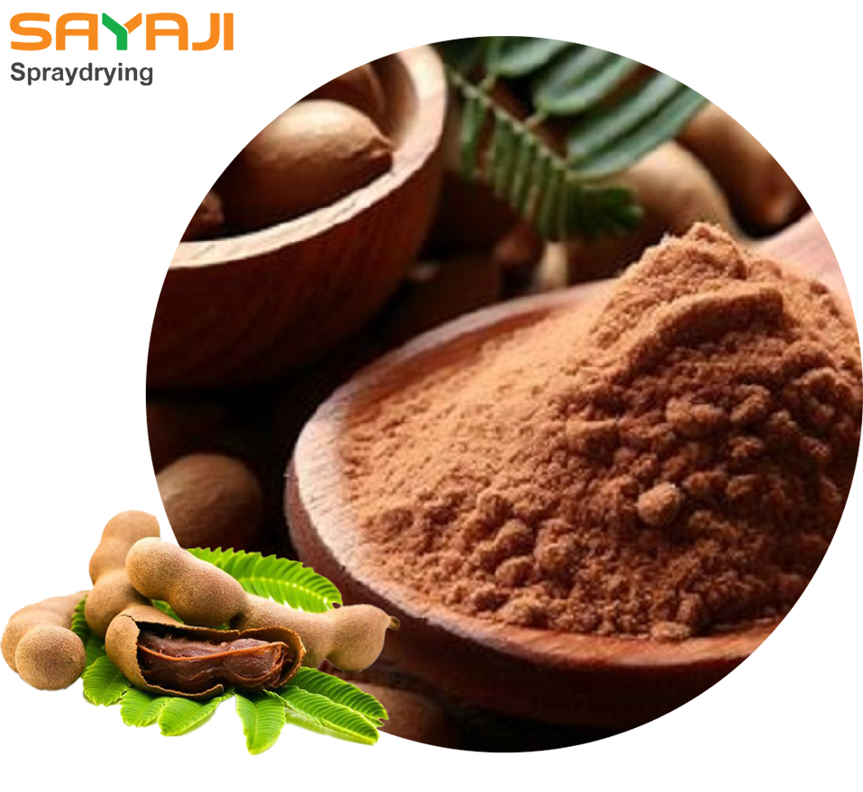 Tamarind Powder Manufacturer in Ahmedabad, India - Sayaji Spray Drying