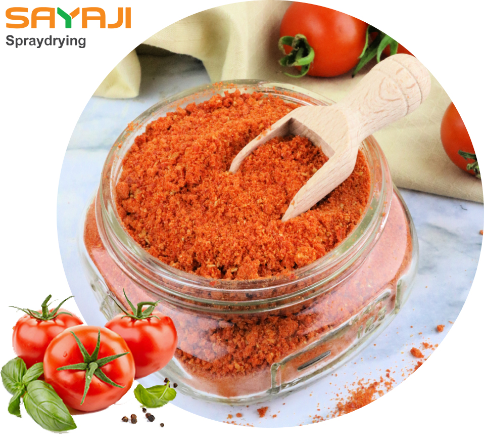 Tomato Powder Manufacturer in Ahmedabad, India - Sayaji Spray Drying