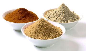 Food-Powders-Manufacturer-in-India